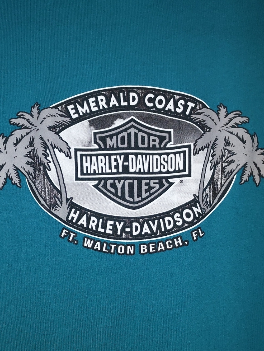 Harley Davidsin Shirt - Picture 4 of 9